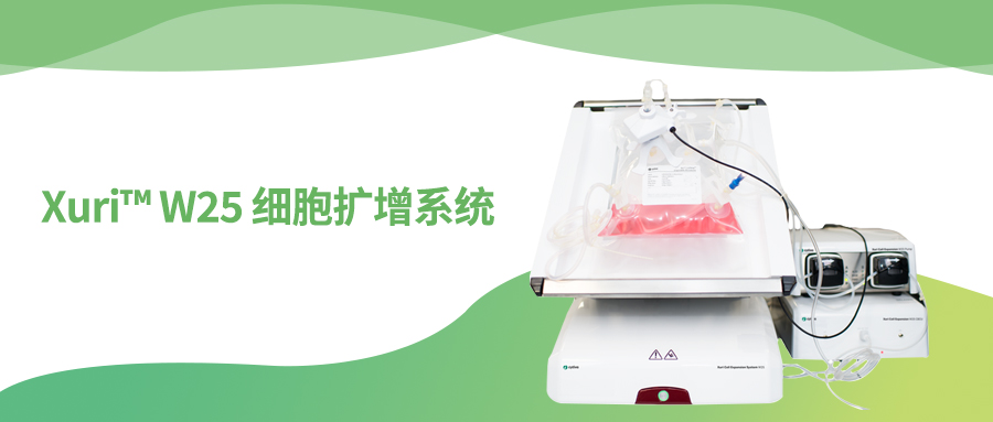Xuri™ W25 细胞扩增系统：摇摆中的细胞工厂，轻松培育生物奇迹