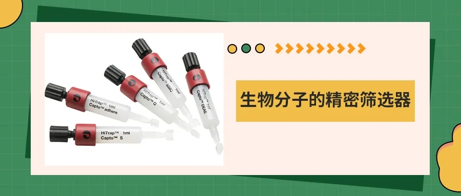 离子交换层析：生物分子的精密筛选器