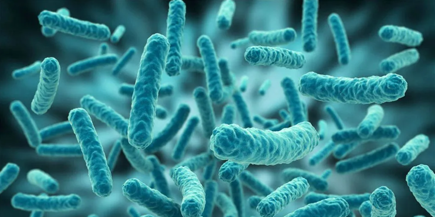 生物制药洁净密码：内毒素检测与控制策略全解析