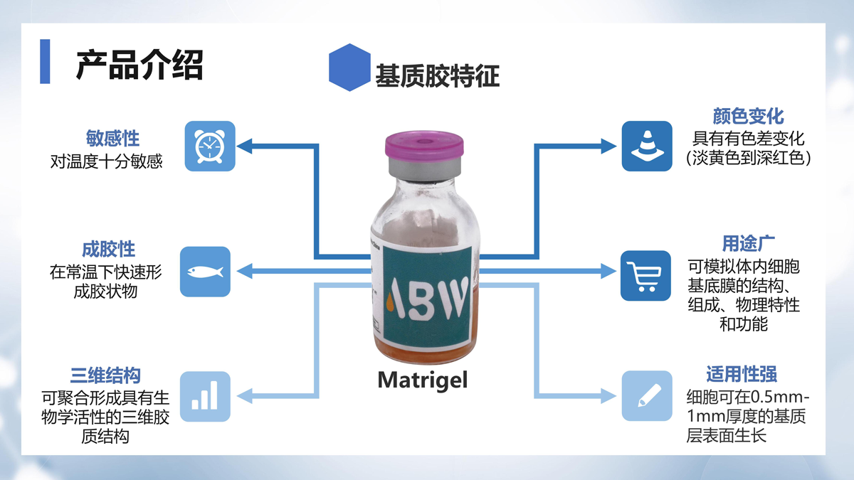 ABW基质胶产品介绍_05.png